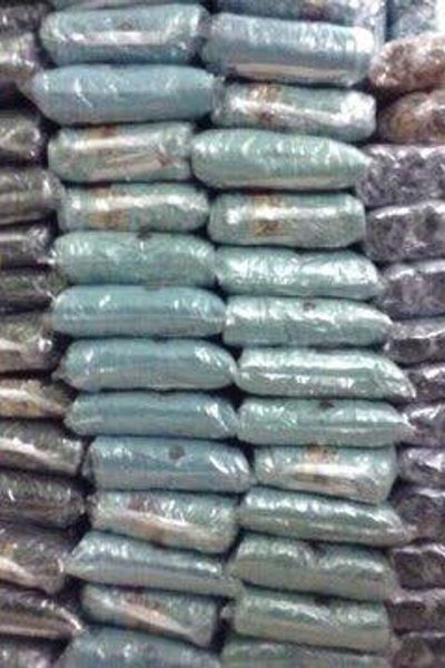 Kaki trơn bẻ lai nhiều màu