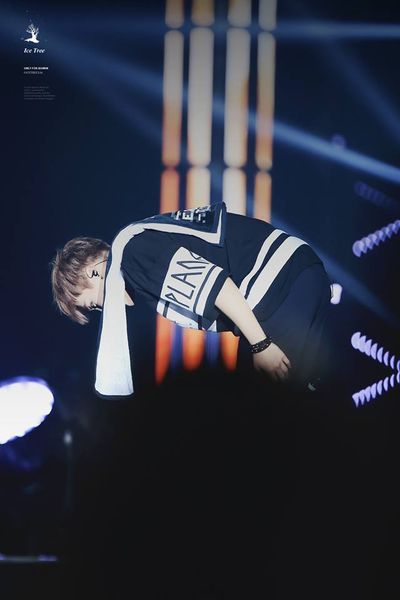 Áo exo