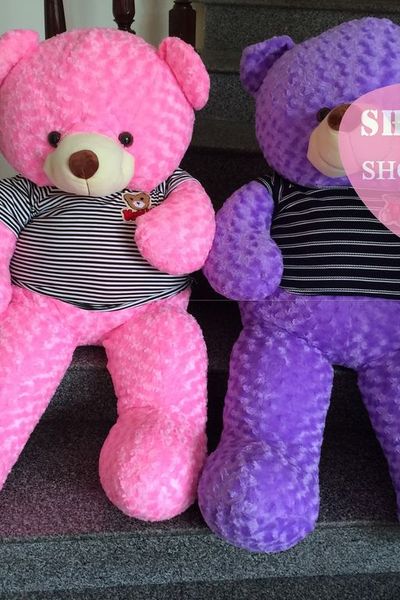 Gấu teddy