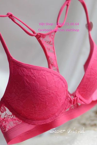 V109 kaurs laurel pháp hồng