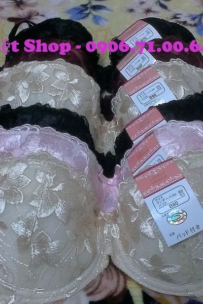 Alb01 - áo ngực lovely có gọng ko mút