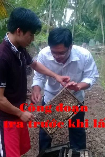 Mật ong nhà vườn