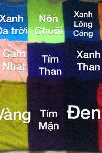 Áo thun trơn vải dày
