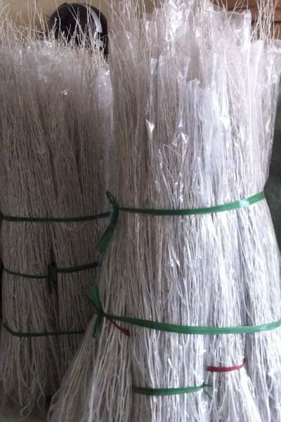 Cây dẻo cắm hoa