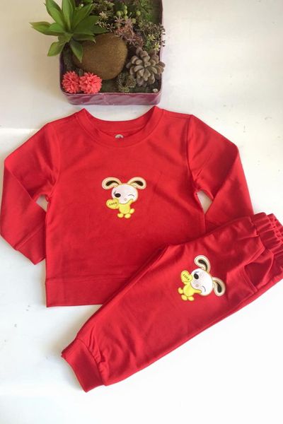 300 bộ nỉ bé gái ri 8