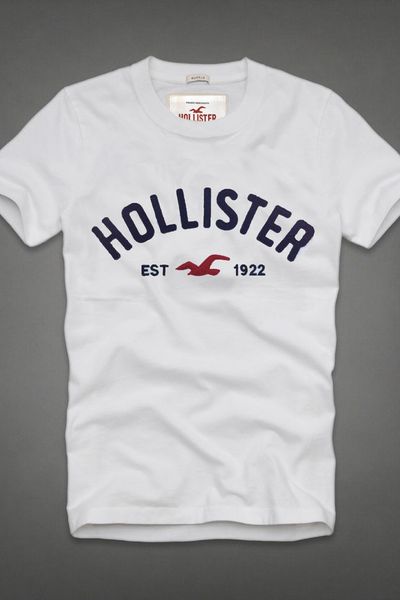 Áo thun nam hollister cổ tròn thêu đắp nỗi