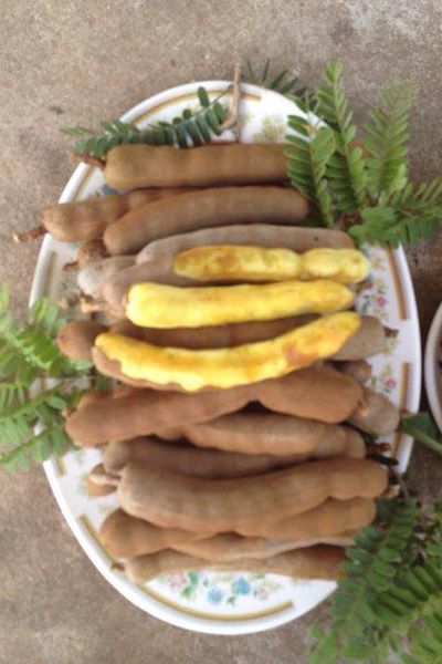 Me thái dốt bột