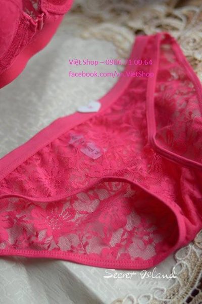 V109 kaurs laurel pháp hồng