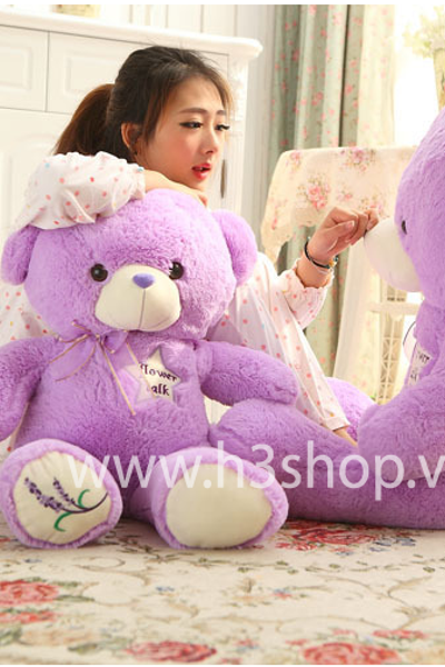 Gấu teddy lavender