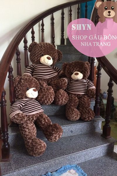 Gấu teddy
