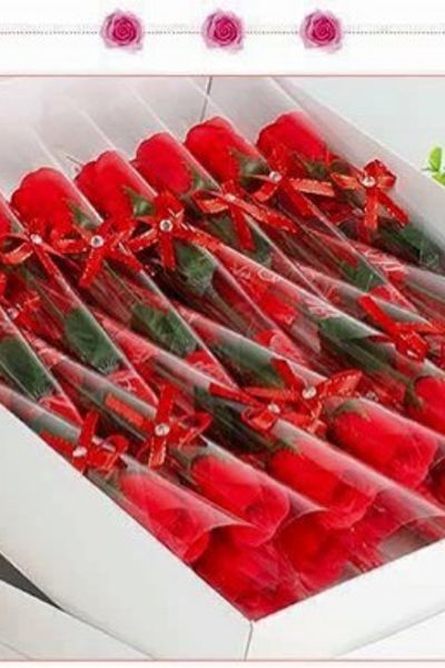 Hoa hồng sáp cành