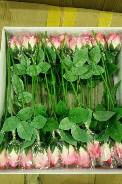 Hoa hồng sáp cành mẫu mới