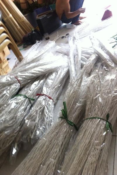 Cây dẻo cắm hoa
