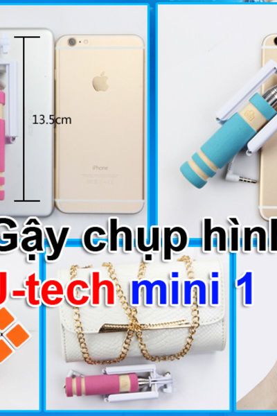 Gay tu suong mini