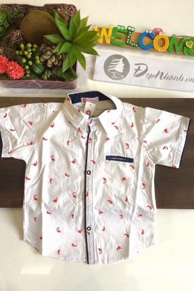 105áo sơ mi đại bé trai size 7-12 ri 6