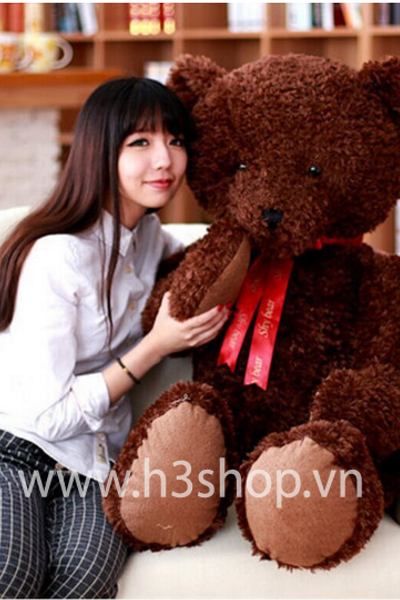 Gấu teddy che mắt