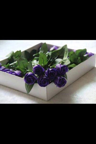 Hoa hồng sáp cành mẫu mới