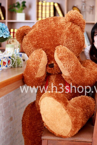 Gấu teddy che mắt