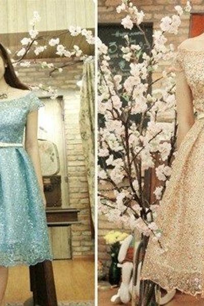 Chuyên sỉ đầm ren đính kim sa