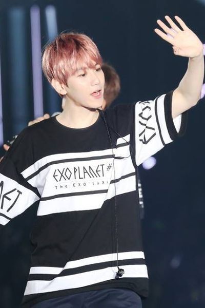 Áo exo