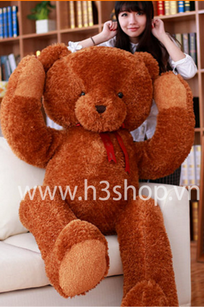 Gấu teddy che mắt