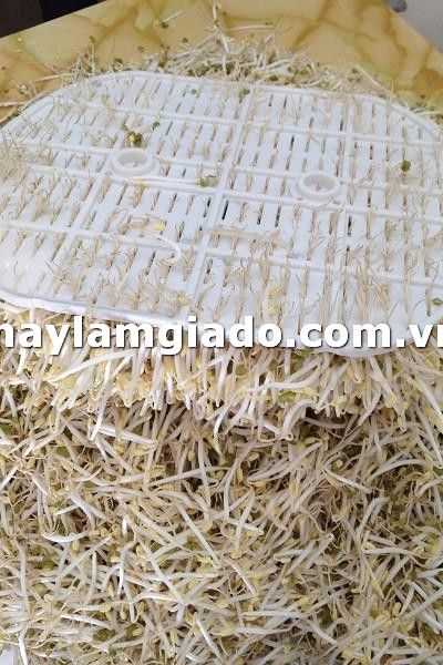 Thiết bị làm giá công nghiệp gv-102