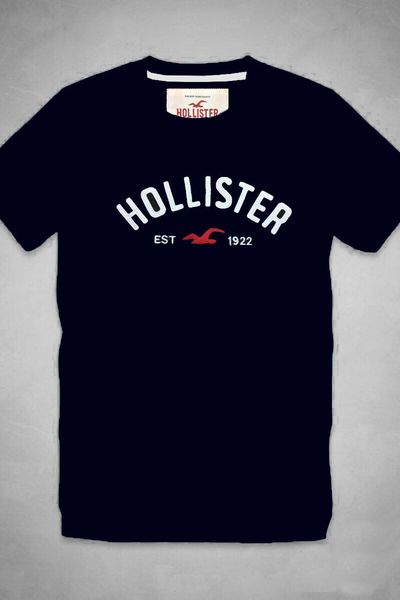Áo thun nam hollister cổ tròn thêu đắp nỗi