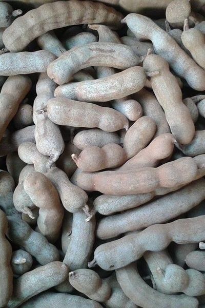 Me thái dốt bột siêu ngon
