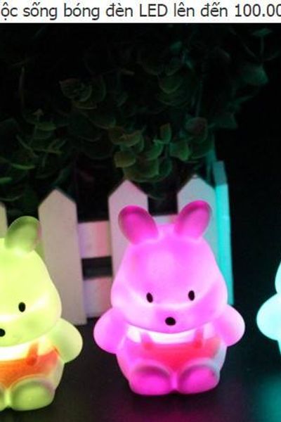 Thỏ phát sáng trong đêm tối
