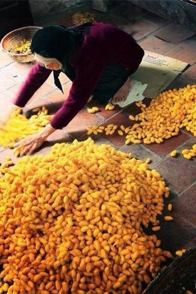 Hút sạch mụn đầu đen mụn cám với kén tằm thiên nhiên