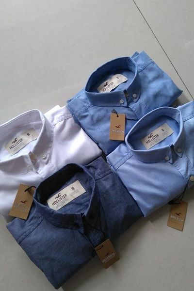 Áo hollites tay dài