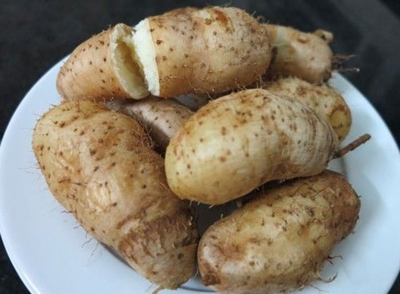 Kết quả hình ảnh cho khoai từ