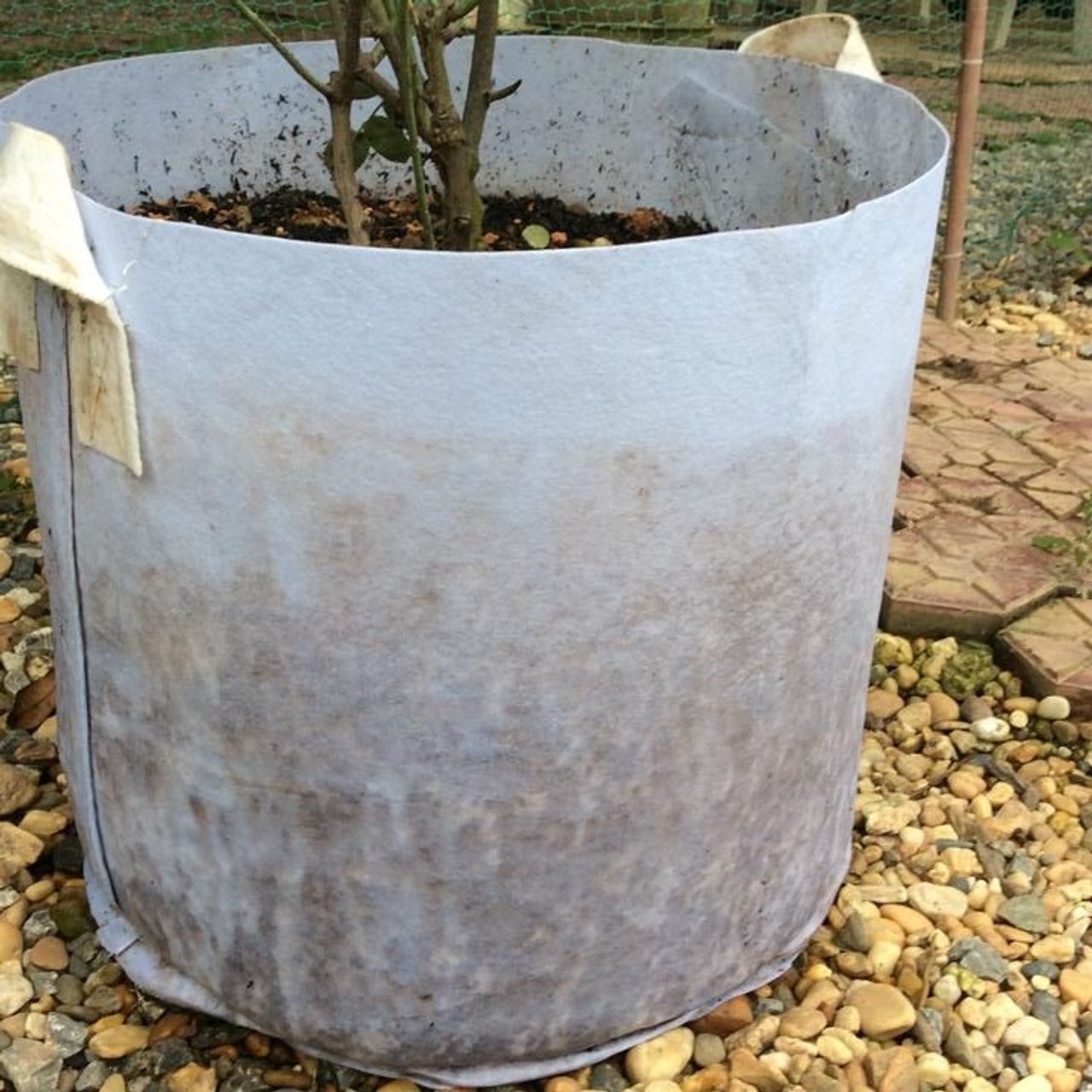 Túi vải trồng cây 2 quai xách kích thước 70x50cm giá sỉ - giá bán ...