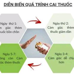 Káº¿t quáº£ hÃ¬nh áº£nh cho cÃ¢y cai thuá»c lÃ¡, thuá»c lÃ o tÃ¢m an