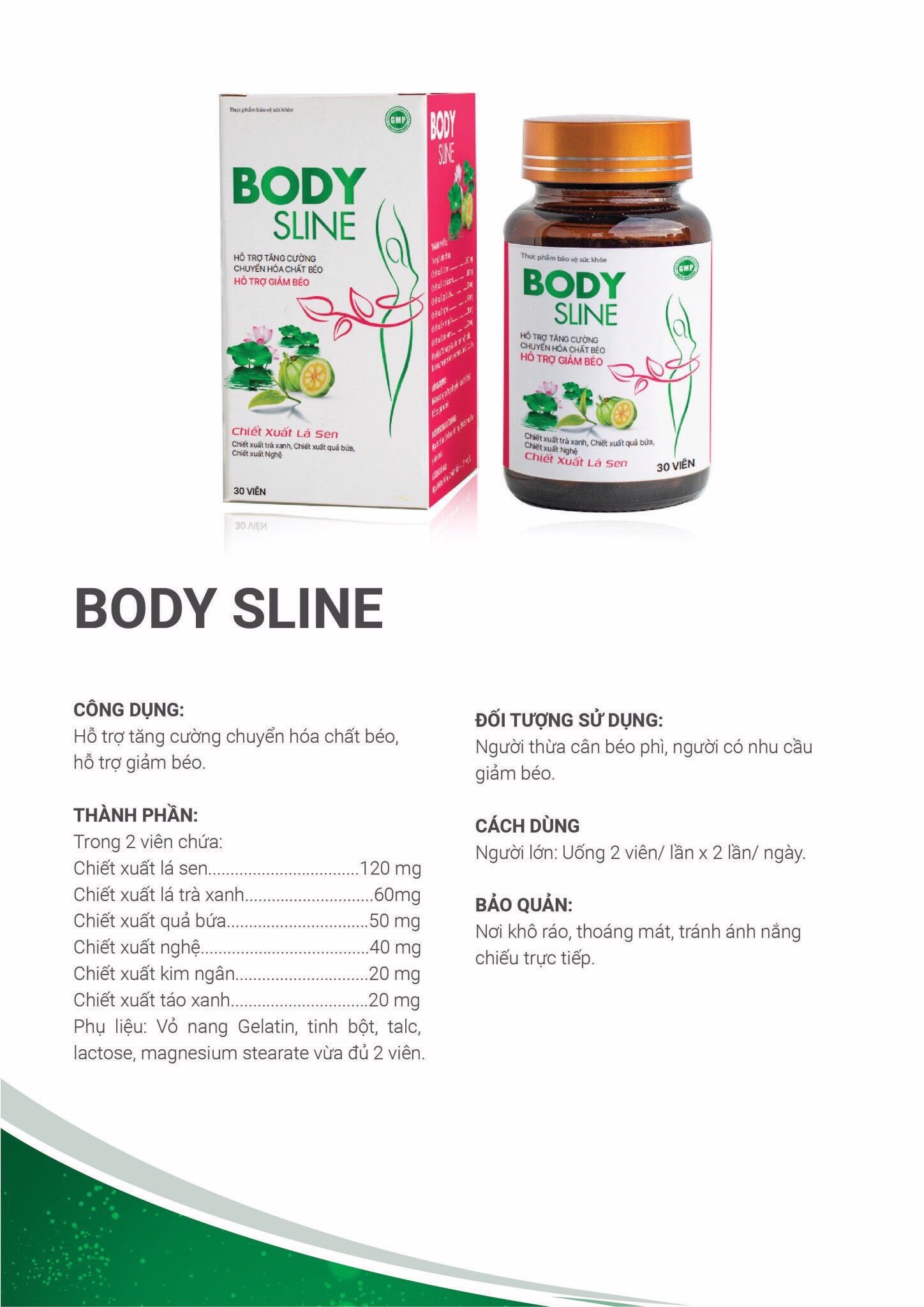 Thành Phần Chính Của Thuốc Giảm Cân Body Sline